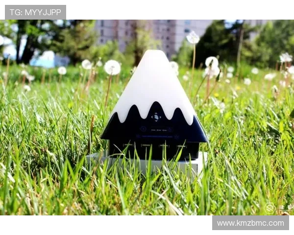 黑白足球星空灯的魅力解析与使用技巧打造温馨浪漫的居家氛围